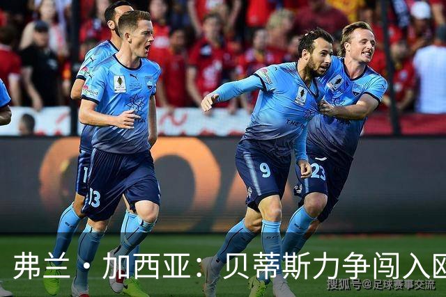 弗兰·加西亚：贝蒂斯力争闯入欧冠前24名